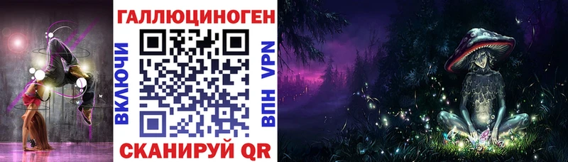 Псилоцибиновые грибы Cubensis Ленинградская
